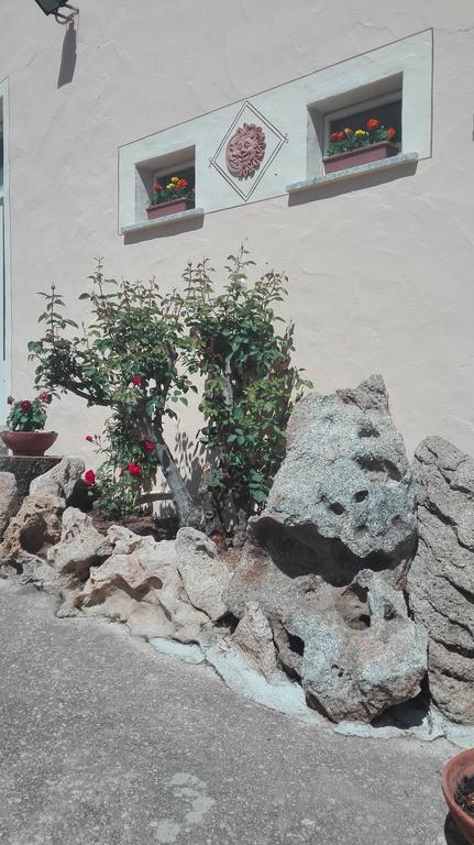 Agriturismo Monte Pino Telti Zewnętrze zdjęcie