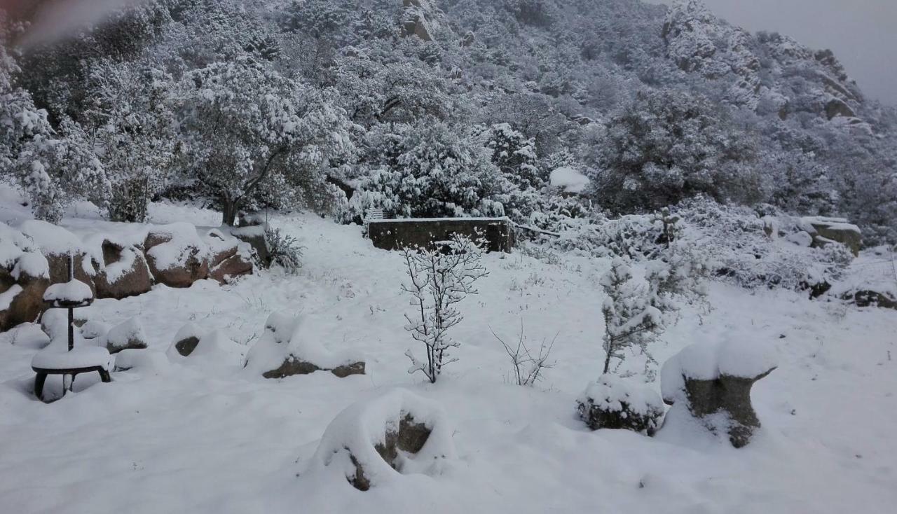 Agriturismo Monte Pino Telti Zewnętrze zdjęcie